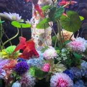 こゆき おやすみします エディーズ