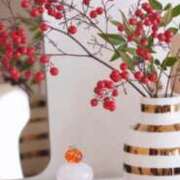 ヒメ日記 2026/01/02 17:16 投稿 こゆき エディーズ