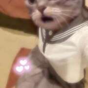 ヒメ日記 2024/12/21 18:44 投稿 浅倉　かのん Oasis(薬研堀)