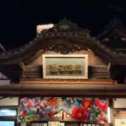 ヒメ日記 2025/11/12 01:04 投稿 浅倉　かのん Oasis(薬研堀)