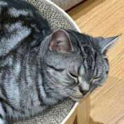 ヒメ日記 2026/04/16 12:34 投稿 浅倉　かのん Oasis(薬研堀)