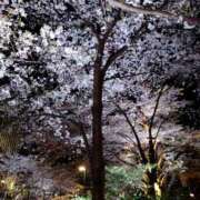 ヒメ日記 2025/04/09 19:58 投稿 はるか 小岩人妻花壇