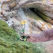 ヒメ日記 2025/02/15 13:23 投稿 ちか 横浜しこたまクリニック