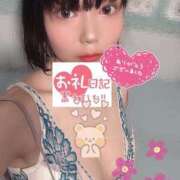 ヒメ日記 2025/04/24 17:35 投稿 かのん 若葉