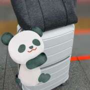 らん ただいま〜 マダムハンズ神田店