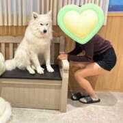 ヒメ日記 2025/02/09 09:45 投稿 ちぐさ 佐久上田人妻隊