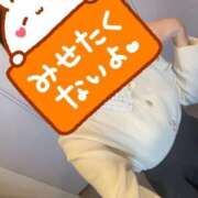 ヒメ日記 2025/12/23 08:27 投稿 ちぐさ 佐久上田人妻隊