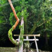 ヒメ日記 2025/07/17 18:00 投稿 さき Gossip girl