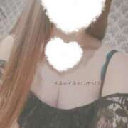 ヒメ日記 2025/05/19 15:09 投稿 さつき アネックスジャパン