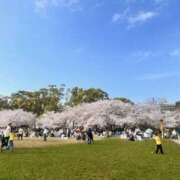 イヴ（VIP対応） いつもより冷える💔 セクシーパラダイス3