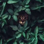 ヒメ日記 2024/12/18 07:53 投稿 なな エンジェルシリカ