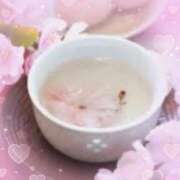 ヒメ日記 2025/03/09 20:08 投稿 むめい 熟女家 十三店