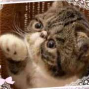 ヒメ日記 2025/03/19 21:24 投稿 むめい 熟女家 十三店