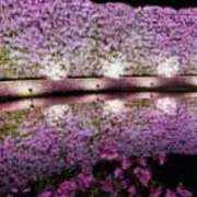 ヒメ日記 2025/04/22 21:19 投稿 むめい 熟女家 十三店