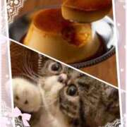 ヒメ日記 2025/04/25 11:51 投稿 むめい 熟女家 十三店