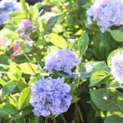 ヒメ日記 2025/05/19 21:37 投稿 むめい 熟女家 十三店