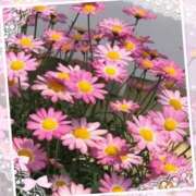 ヒメ日記 2025/07/02 19:18 投稿 むめい 熟女家 十三店