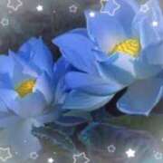 ヒメ日記 2025/09/06 18:53 投稿 むめい 熟女家 十三店