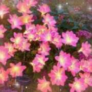 ヒメ日記 2025/09/10 19:38 投稿 むめい 熟女家 十三店