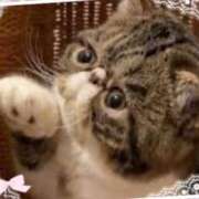 ヒメ日記 2025/10/17 08:23 投稿 むめい 熟女家 十三店