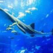 ヒメ日記 2025/11/28 23:27 投稿 むめい 熟女家 十三店