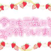 ヒメ日記 2024/06/26 10:14 投稿 戸崎愛渚(とさきまな) 姫路マダム大奥