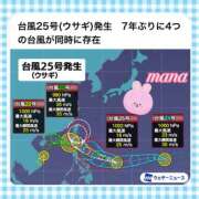 ヒメ日記 2024/11/12 14:27 投稿 戸崎愛渚(とさきまな) 姫路マダム大奥