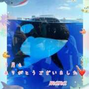 ヒメ日記 2025/03/31 23:01 投稿 戸崎愛渚(とさきまな) 姫路マダム大奥