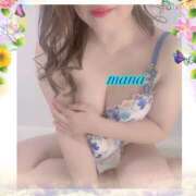 ヒメ日記 2025/04/16 07:41 投稿 戸崎愛渚(とさきまな) 姫路マダム大奥