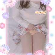 ヒメ日記 2025/04/26 10:01 投稿 戸崎愛渚(とさきまな) 姫路マダム大奥