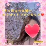 ヒメ日記 2025/05/01 00:31 投稿 戸崎愛渚(とさきまな) 姫路マダム大奥