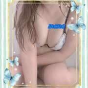 ヒメ日記 2025/07/28 12:55 投稿 戸崎愛渚(とさきまな) 姫路マダム大奥