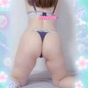 ヒメ日記 2025/09/25 17:35 投稿 戸崎愛渚(とさきまな) 姫路マダム大奥