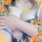 ヒメ日記 2025/09/29 00:42 投稿 戸崎愛渚(とさきまな) 姫路マダム大奥