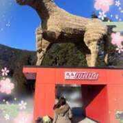 ヒメ日記 2026/02/03 23:02 投稿 戸崎愛渚(とさきまな) 姫路マダム大奥