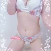 ヒメ日記 2026/02/06 12:12 投稿 戸崎愛渚(とさきまな) 姫路マダム大奥