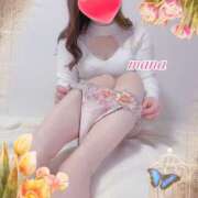 ヒメ日記 2026/02/10 21:32 投稿 戸崎愛渚(とさきまな) 姫路マダム大奥