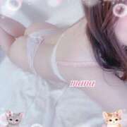 ヒメ日記 2026/04/05 19:12 投稿 戸崎愛渚(とさきまな) 姫路マダム大奥