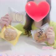 ヒメ日記 2026/04/08 00:22 投稿 戸崎愛渚(とさきまな) 姫路マダム大奥