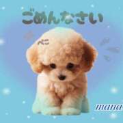 ヒメ日記 2026/06/05 20:42 投稿 戸崎愛渚(とさきまな) 姫路マダム大奥