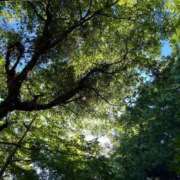 ヒメ日記 2025/08/01 12:11 投稿 らん 小田原人妻城