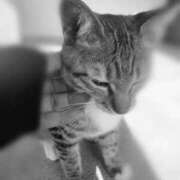 ヒメ日記 2025/09/15 21:29 投稿 雪村あや イエスグループ熊本 華女