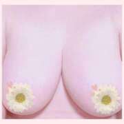 ヒメ日記 2025/03/23 10:17 投稿 深田えりか 恋する奥さん 西中島店