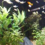 ヒメ日記 2025/06/14 00:15 投稿 みう 奥様の実話 谷九店