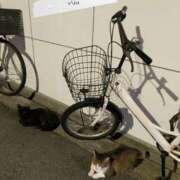 ヒメ日記 2025/09/20 00:01 投稿 みう 奥様の実話 谷九店