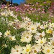 ヒメ日記 2025/11/18 00:01 投稿 みう 奥様の実話 谷九店