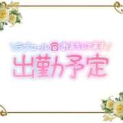 ヒメ日記 2024/03/25 12:09 投稿 なな 人妻洗体倶楽部