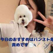 ヒメ日記 2024/12/11 19:23 投稿 なつき 横浜しこたまクリニック