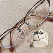 ヒメ日記 2025/02/12 09:53 投稿 なつき 横浜しこたまクリニック