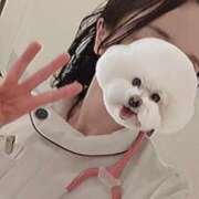 ヒメ日記 2025/03/17 17:04 投稿 なつき 横浜しこたまクリニック